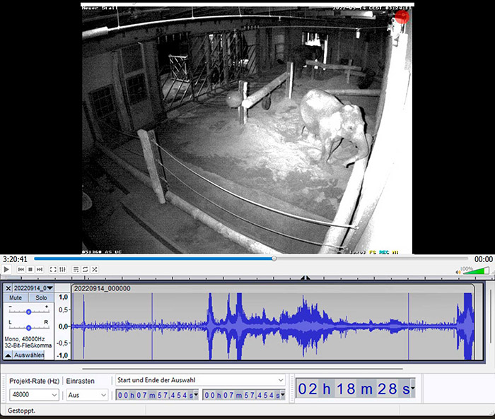 .Audio Video Zoo Karlsruhe Elefantenhaus